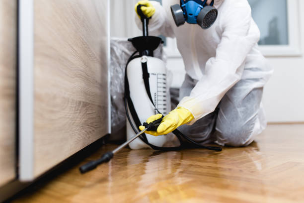 Best Mosquito Control Services  in Upper Lake, CA