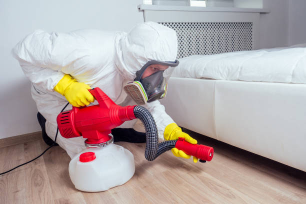 Reliable Upper Lake, CA Pest Control Solutions