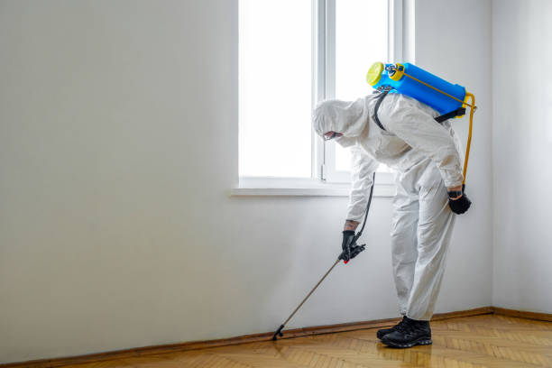 Best Pest Inspection Near Me  in Upper Lake, CA