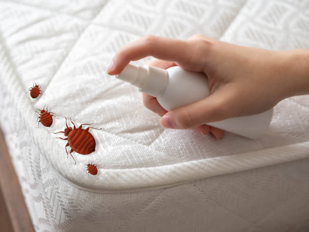 Best Pest Control Near Me in Upper Lake, CA