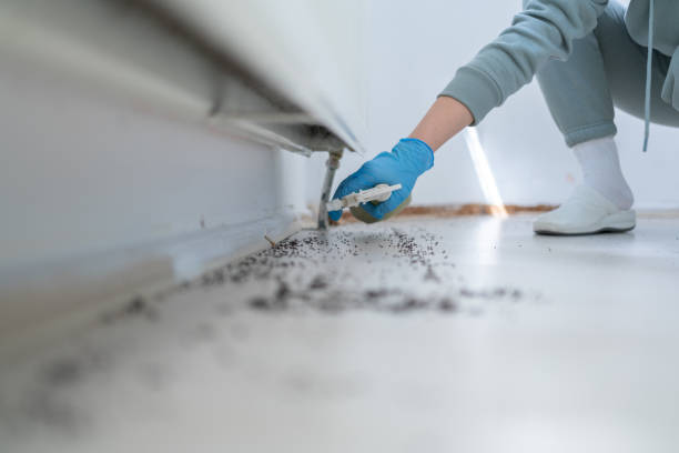 Best Pest Removal Services  in Upper Lake, CA